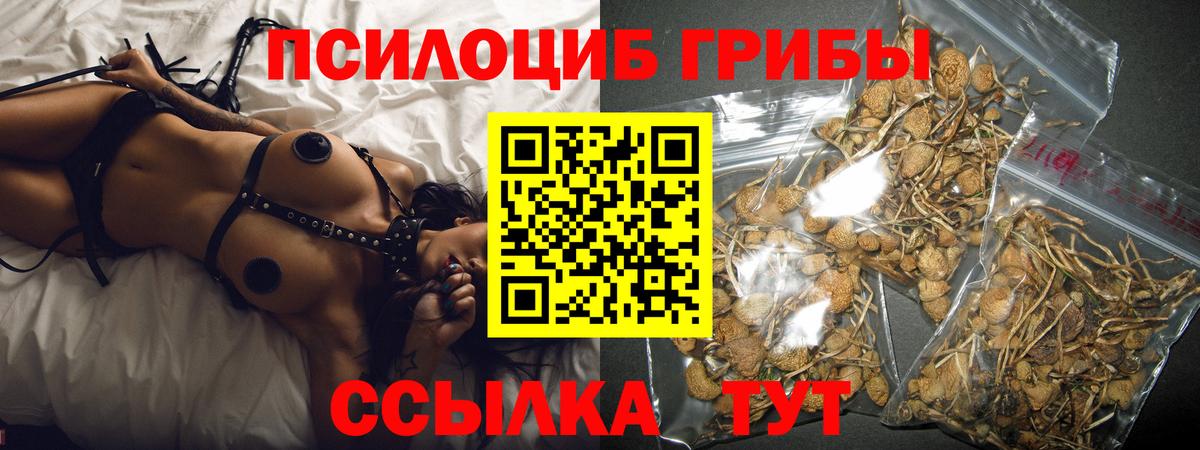 Реутов  Галлюциногенные грибы GOLDEN TEACHER  Вход с VPN 